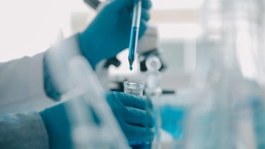 Avances en el diagnóstico de la leishmaniasis canina son clave para combatir la resistencia antimicrobiana en perros.