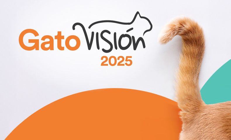 Gato Visión, la propuesta para agregar valor de Mi Negocio Veterinario de la mano de Holliday Scott y AAMeFe.