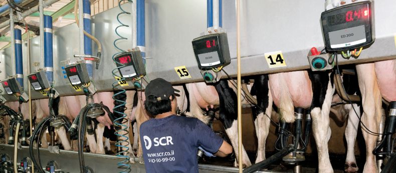 El ordeño inteligente consiste en un controlador de pulsado y estimulación, implementados juntos en una solución. automatizada.