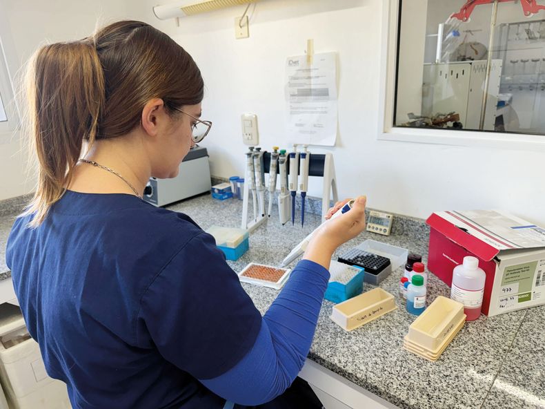 El laboratorio de diagnóstico de Esperanza Distribuciones tomó y analizó las muestras de la granja con Aujeszky en Emilia.