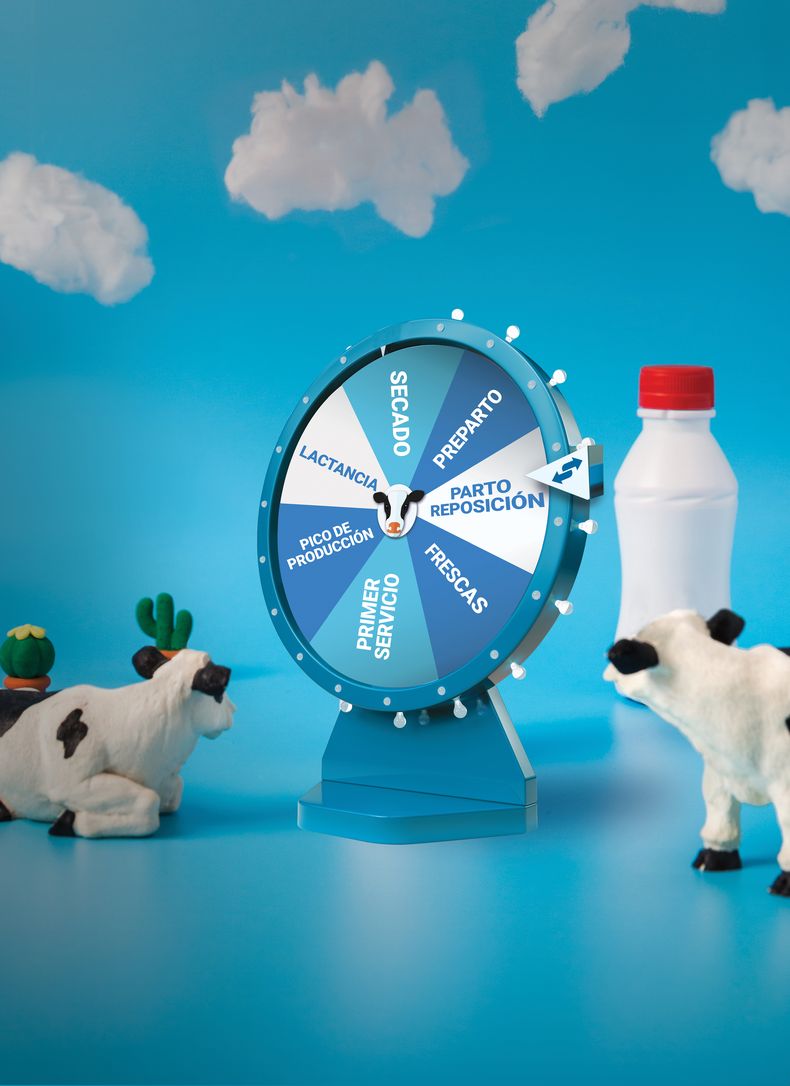 Más que la rueda de la fortuna, un paso a paso para avanzar en lechería y no quedar en el camino.﻿&nbsp;