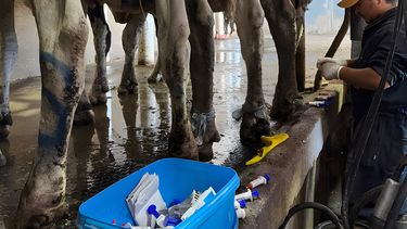 Motivar | APROCAL 1.jpg