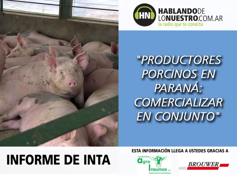 MOTIVAR Radio 15 04 Inta Porcinos.jpg