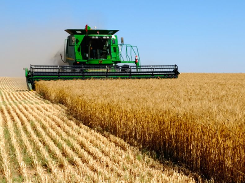 Tomando como base los resultados de la campaña 23-24, el productor agropecuario busca financiación.&nbsp;