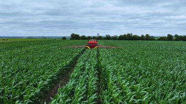 Especialistas del INTA destacan la importancia de invertir en fertilizantes para los cultivos.