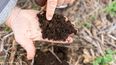 La producción sustentable impulsa la evolución de la agricultura moderna hacia un futuro más equilibrado y eficiente.