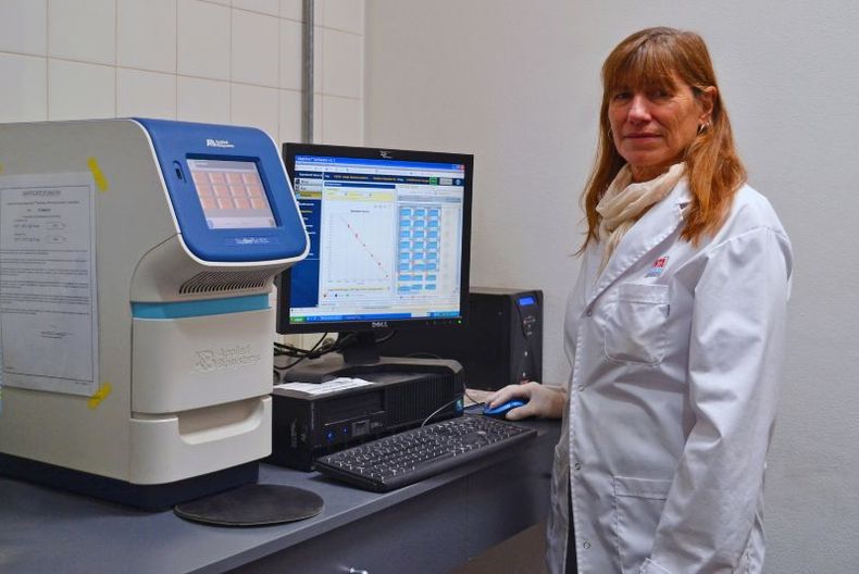 Silvina Guidi -investigadora del Instituto de Tecnología de Alimentos (ITA) del INTA Castelar-, indicó que “hay una creciente demanda de información de los alimentos que se consumen con una mayor conciencia sobre el tipo y calidad