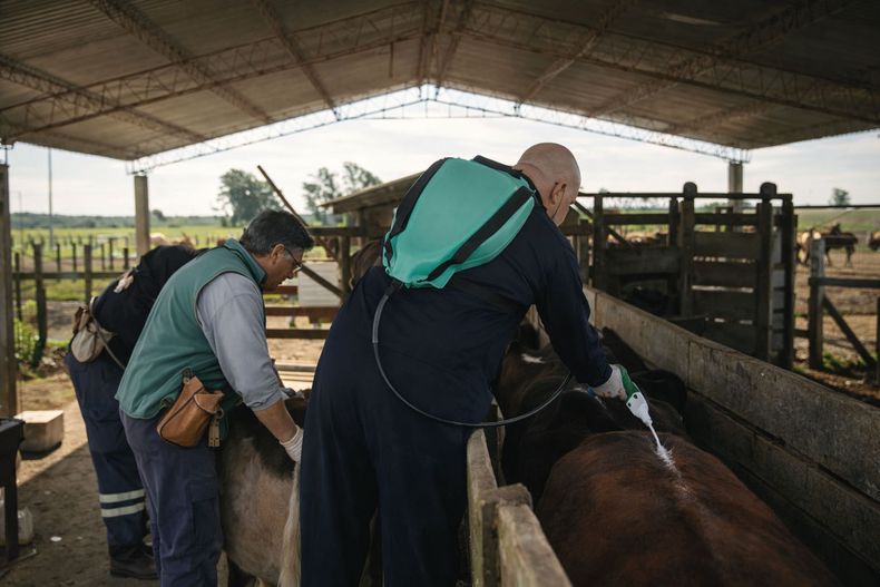 La evidencia demuestra el impacto positivo del trabajo veterinario en los establecimientos.