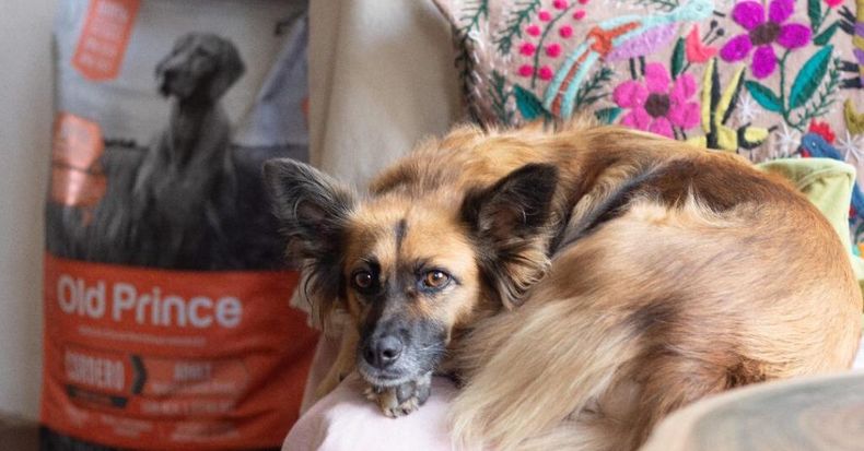 586 e1606249315839.jpeg