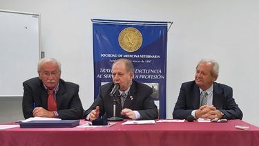 ?seguimos activos, sabemos que tenemos que avanzar?