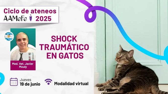 Felinos. El próximo ateneo de AAMeFe será el 19 de junio, dictado por el Dr. Javier Mouly.
