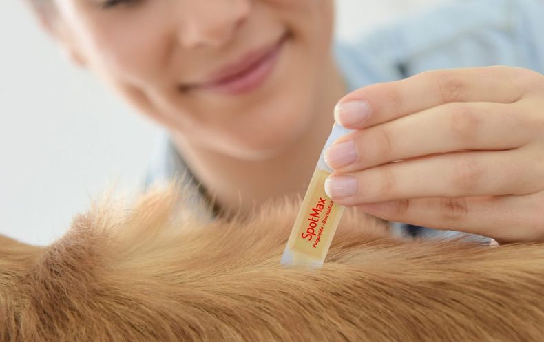 SpotMax Aplicación CloseUp 1 e1572629800540.jpg