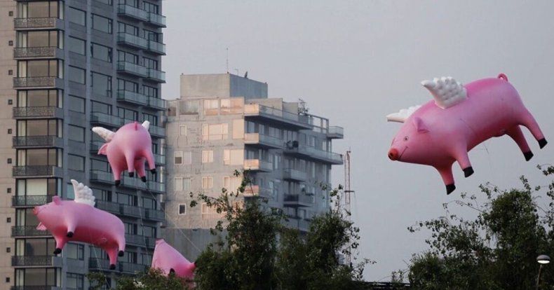 Avance de los cerdos en las exportaciones agroindustriales.