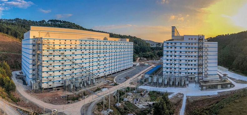 B China Yangxiang granja de cerdos de 9 pisos.jpg