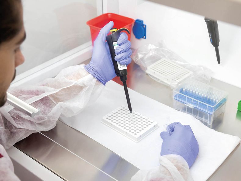 Técnicas para detecar la Tricomoniasis bovina.&nbsp;