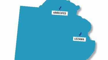 En menos de un mes se detectaron dos brotes de influenza aviar en aves de traspatio en Bs. As.