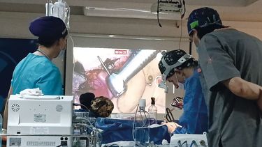 La medicina felina y el manejo del dolor orofacial