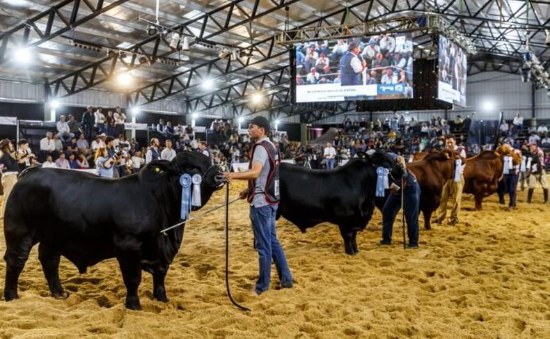 El evento ganadero reunirá lo mejor de la genética bovina, en un espacio de negocios, innovación y tradición.