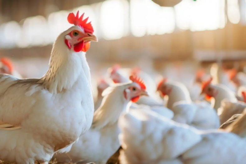 La bioseguridad depende del compromiso, la constancia y la vigilancia continua.