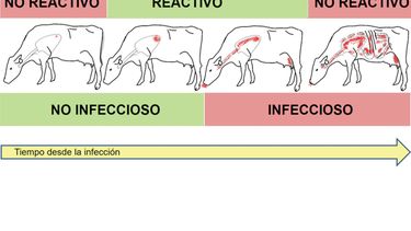 Motivar | Garro 1.jpg