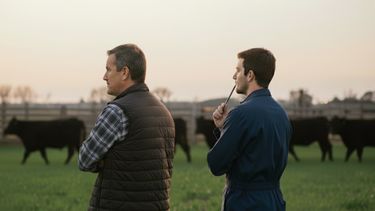 La IATF, clave para optimizar la gestión en veterinarias.