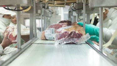 La producción ganadera argentina se adapta a nuevos escenarios, buscando eficiencia y mayor peso por res.