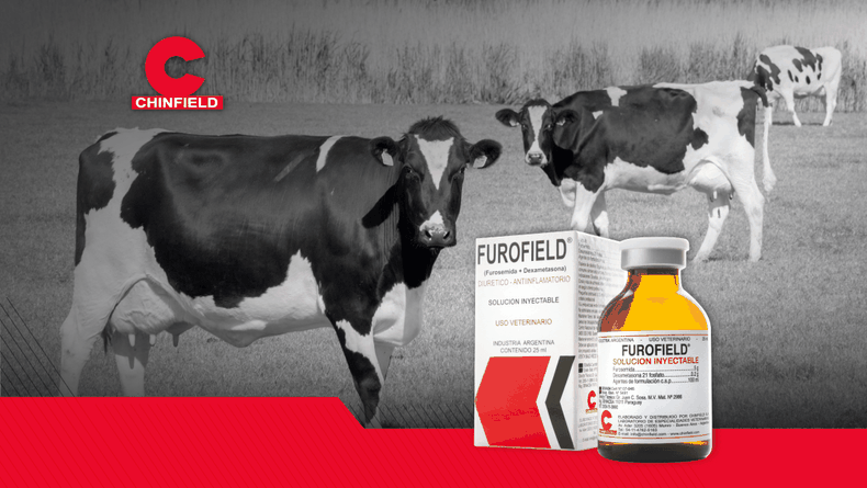 Otra solución de Chinfield.&nbsp;