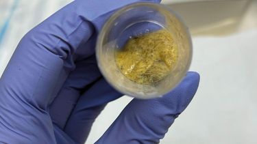 Para un diagnóstico preciso de la diarrea neonatal bovina, es fundamental remitir las muestras adecuadas al laboratorio.