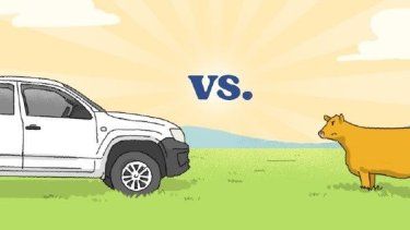 Desde el INTA EEA Bordenave analizaron el costode adquirir un vehículo 0 km para un establecimiento agropecuario.