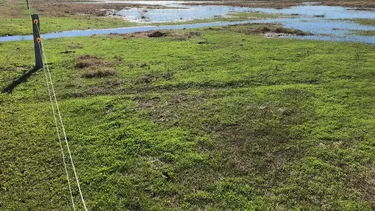 INTA prevé el impacto del clima en la agricultura.