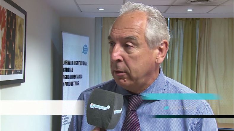 Maggi carnes.jpg