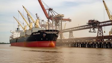  Soja: una nueva era de trazabilidad y compromiso ambiental.