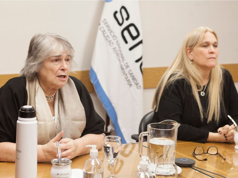 Revisan la vacunación contra Influenza Aviar.