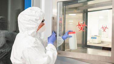 Es la primera vez que se detecta tuberculosis bovina en un mono silvestre.