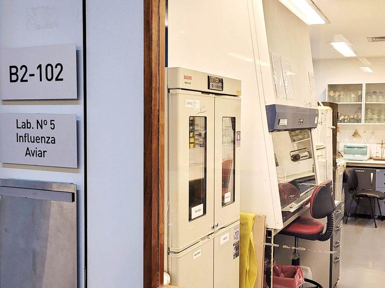 Senasa 1 Recorrida.jpg