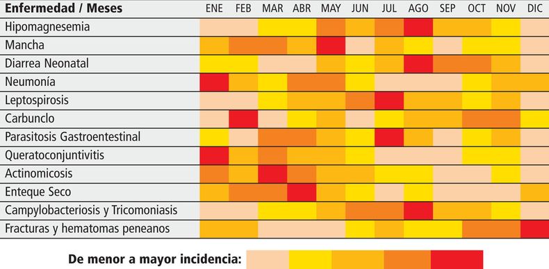 Tabla 11.jpg
