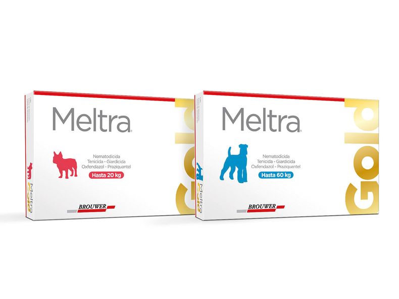 Intermedica Brouwer Meltra.jpg