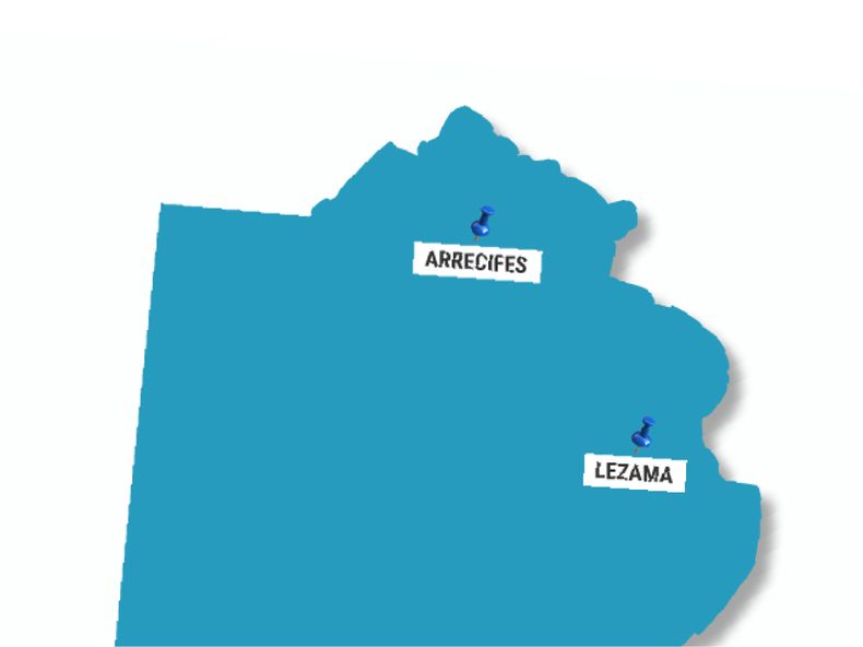 En menos de un mes se detectaron dos brotes de influenza aviar en aves de traspatio en Bs. As.