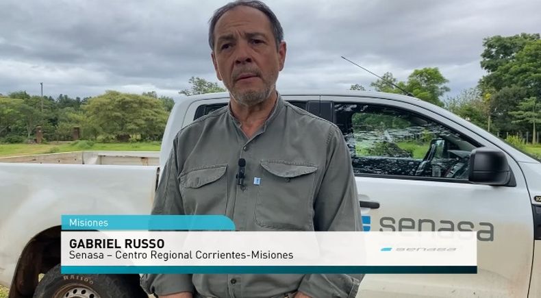 Gabriel Russo, referente del Centro Regional Corrientes-Misiones del Senasa, y del Programa de Rabia del organismo.