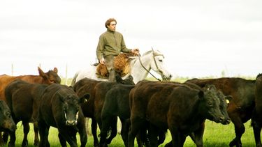 La prevención de la rabia paresiante disminuye la posibilidad de pérdidas productivas.