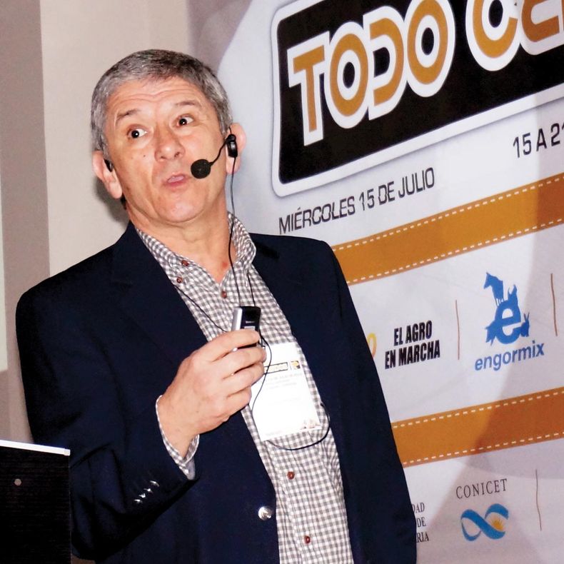 Foto Todo Cerdos 1.jpg