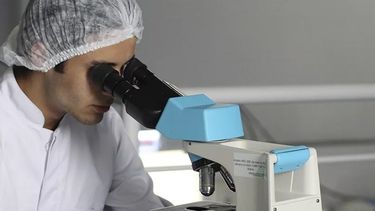 Protocolos de inyección única para mejorar el bienestar animal.