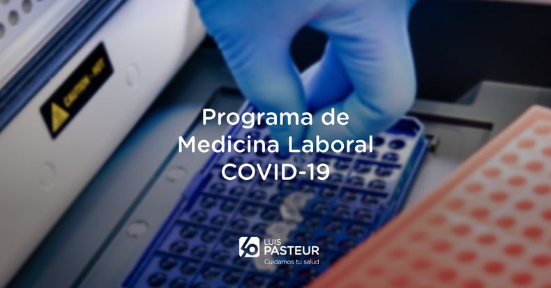 nota_patrocinada_p_m_l_covid 19_Mesa de trabajo 2.jpg