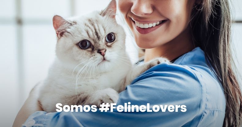 LAB_Feline_Accion Motivar_NOTA Patrocinada.jpg