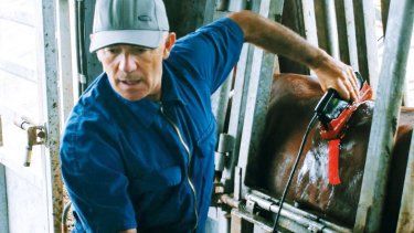 Jorge Ferrario, médico veterinario de González Chaves, Buenos Aires, especializado en diagnóstico por imágenes.&nbsp;