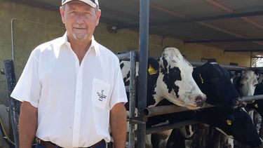 Motivar | Tambo 1.jpg