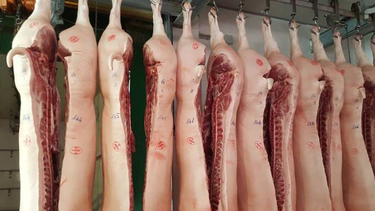 Prevenir la triquinosis depende de la incorporación de buenos hábitos tanto en la producción como en la compra y la cocción de alimentos.