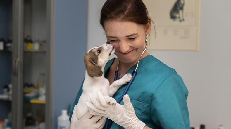 La salud mental es parte esencial del ejercicio de los médicos veterinarios.