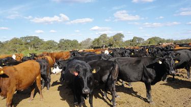 Motivar | foto Nota de Tapa.jpg