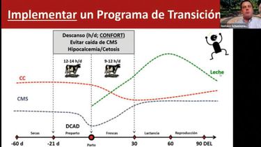 Motivar | aprocal.jpg